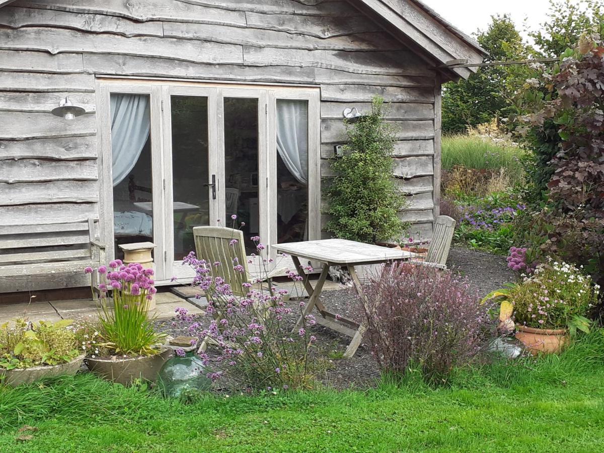 Three Oaks Nursery Chichester Eksteriør billede